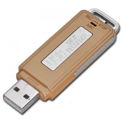  , ,  USB 8GB    - USB Digital Audio Hot Voice Recorder Pen 8GB Disk Flash Drive 150 hrs Recording -      